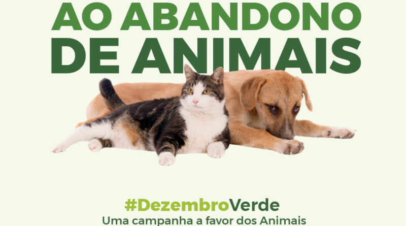 Dezembro verde