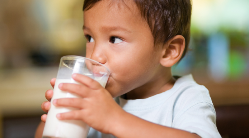 Você sabe a diferença entre soro de leite, iogurte, bebida e mistura láctea