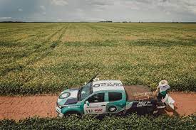 Técnicos do Rally da Safra avaliam lavoura de soja