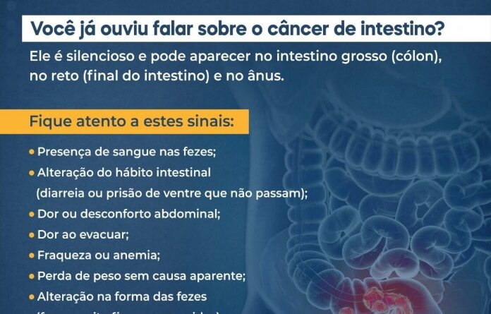 O objetivo é envolver toda a rede de atenção à saúde, desde a prevenção ao diagnóstico (Arte: SES)