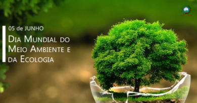 Dia Mundial do Meio Ambiente e Ecologia