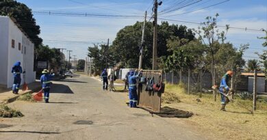 Marajó recebe mutirão de limpeza