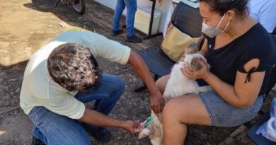 Os moradores da capital com mais de cinco animais podem realizar o agendamento da vacinação e alguns municípios disponibilizam ainda postos fixos, com funcionamento durante a semana (Foto: UVZ Goiânia)