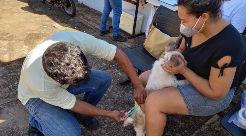 Os moradores da capital com mais de cinco animais podem realizar o agendamento da vacinação e alguns municípios disponibilizam ainda postos fixos, com funcionamento durante a semana (Foto: UVZ Goiânia)