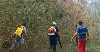 Meio Ambiente combate incêndio florestal no Pq Rio Branco