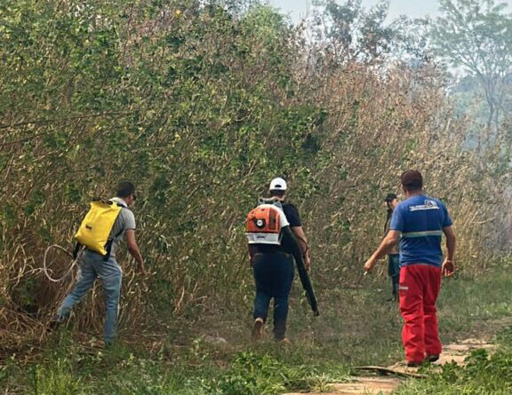 Meio Ambiente combate incêndio florestal no Pq Rio Branco