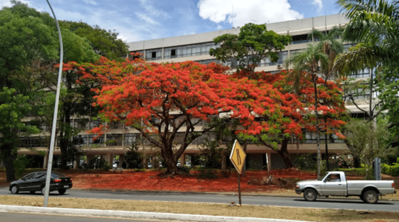 Primavera 2023: muito calor no Brasil e mais chuva no Sul