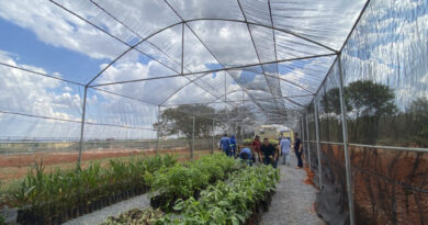 Meio Ambiente ganha novo Viveiro Municipal