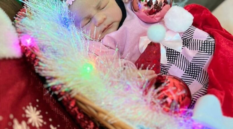 A maternidade do Hospital Estadual de Luziânia ganhou um colorido especial e os bebês foram produzidos com enfeites natalinos para um ensaio fotográfico (Foto: Divulgação)