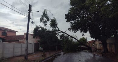 O Instituto Nacional de Meteorologia colocou Goiás em alerta laranja para o risco de temporais