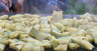 Festival Gastronomico Cultural do Milho de Santa Terezinha de Goias Equatorial Goias-