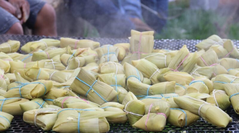 Festival Gastronomico Cultural do Milho de Santa Terezinha de Goias Equatorial Goias-