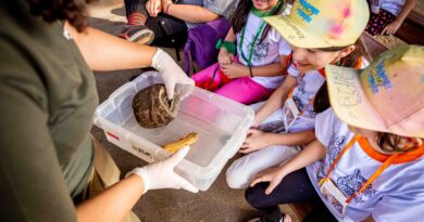 As inscrições poderão ser feitas a partir das 14h, nesta segunda-feira (15), no site do Zoo | Foto: Divulgação/Fundação Jardim Zoológico de Brasília