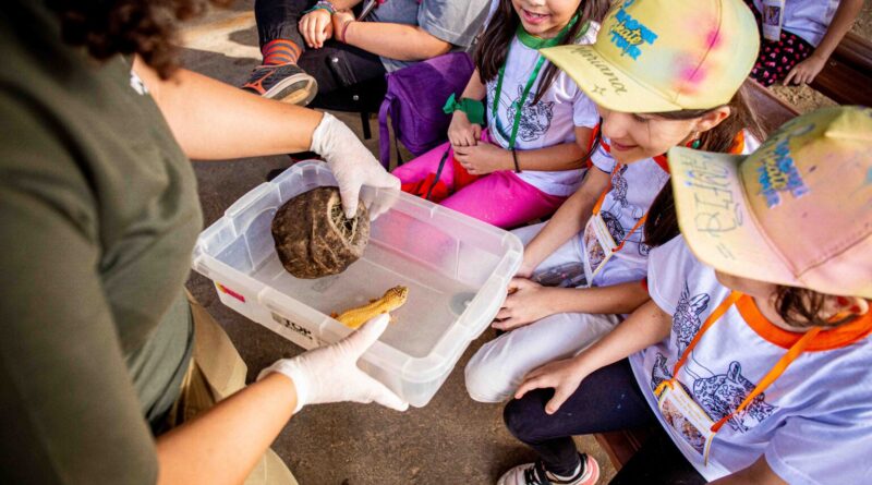 As inscrições poderão ser feitas a partir das 14h, nesta segunda-feira (15), no site do Zoo | Foto: Divulgação/Fundação Jardim Zoológico de Brasília