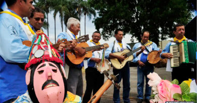 Folia de Reis