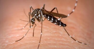 SUS vai aplicar vacina contra a dengue em-141 cidades goianas-confira lista