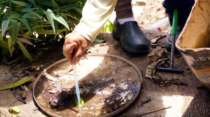 Limpeza de quintais é fundamental para evitar casos de dengue (Foto: SES)