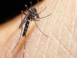 Todos na luta contra a Dengue