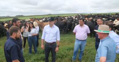 Governador em exercício, Daniel Vilela visita maior produtora de leite de Goiás, em Silvânia (Foto: Jota Eurípedes)