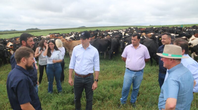 Governador em exercício, Daniel Vilela visita maior produtora de leite de Goiás, em Silvânia (Foto: Jota Eurípedes)