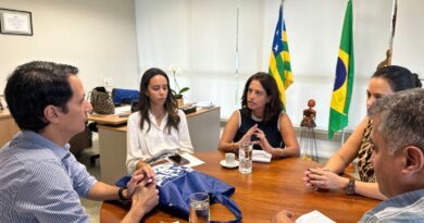 Reunião na Secretaria do Entorno com Sebrae-GO (Foto: divulgação)