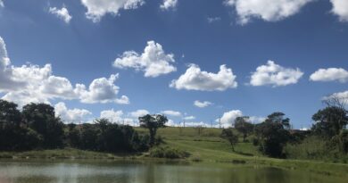 Parque Ecológico Reserva Paraíso, de Valparaíso de Goias