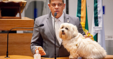 O deputado Daniel Donizet (MDB) é o autor da proposta.