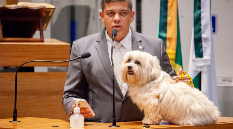 O deputado Daniel Donizet (MDB) é o autor da proposta.