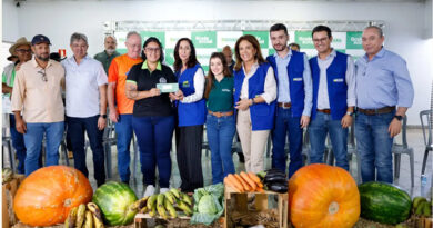 Do campo para a mesa de quem precisa: Governo de Goiás vai comprar 3 mil toneladas de alimentos da agricultura familiar para doar a famílias em situação de vulnerabilidade (Foto: Lucas Diener)