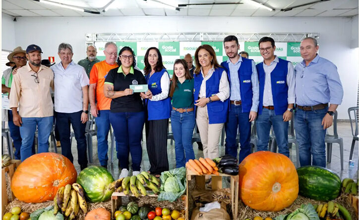 Do campo para a mesa de quem precisa: Governo de Goiás vai comprar 3 mil toneladas de alimentos da agricultura familiar para doar a famílias em situação de vulnerabilidade (Foto: Lucas Diener)