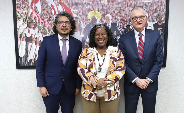 A ministra Macaé Evaristo (Direitos Humanos e Cidadania) durante reunião de trabalho com integrantes da comissão da OEA. Foto: MDHC