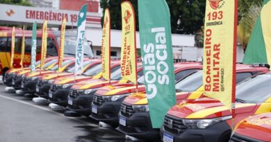 Mais de 30 novas viaturas reforçam trabalho dos bombeiros a partir de segunda (5). (Foto: Divulgação)