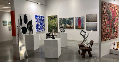 FARGO (Feira de Arte Goiás).