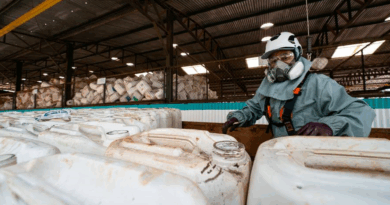 Mais de 800 mil toneladas de embalagens de defensivos agrícolas já foram retiradas do meio ambiente