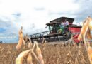 Município de Rio Verde foi o que mais se destacou como maior exportador de janeiro a maio de 2025 (Fotos: SIC-GO)