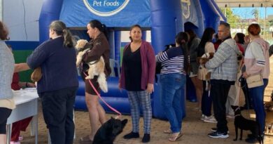 Atividade especial reuniu comunidade com atendimentos para pets e recreação para as crianças
