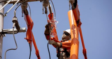 Equatorial Goiás alerta para o aumento de registros de ocorrências envolvendo pipas na rede"