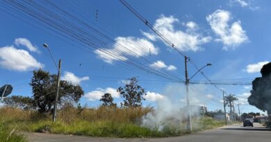 Equatorial Goiás reforça ações de monitoramento diante do aumento no número de queimadas
