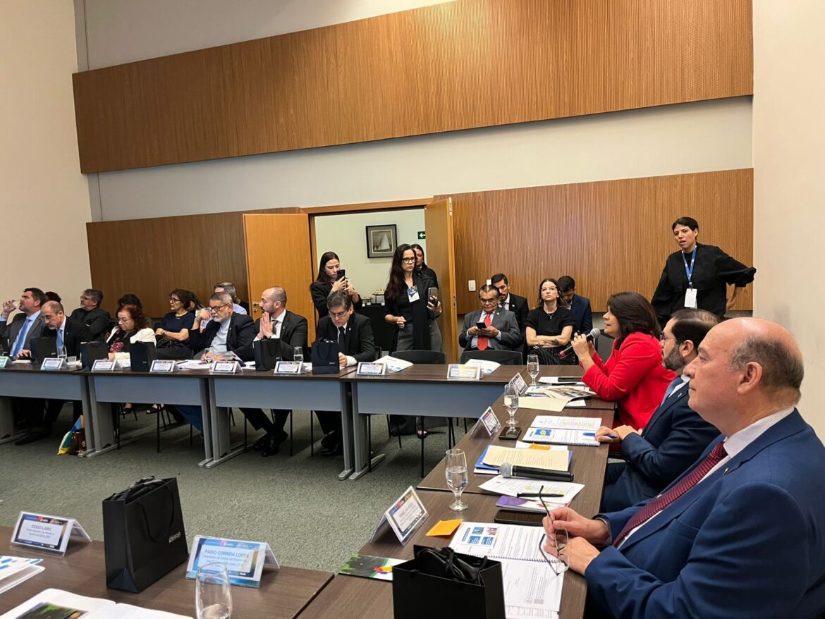 O Conselho é um espaço de articulação entre os entes federativos e a sociedade civil, com o objetivo de alinhar políticas públicas e promover o desenvolvimento sustentável dos 34 municípios — mais o Distrito Federal — que compõem a RIDE