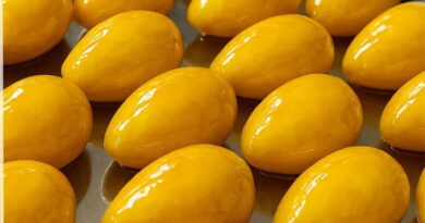 Se o Morango do Amor conquistou o Brasil, agora é a vez de lançar a versão polêmica e cheia de personalidade: o Pequi do Amor