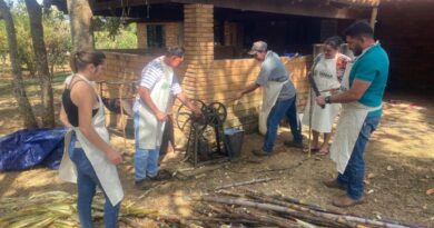 Alunos participam de aula prática no curso de produção artesanal de cachaça do Senar, aprendendo desde o corte da cana até a destilação. (Foto: Baltazar Brandão)