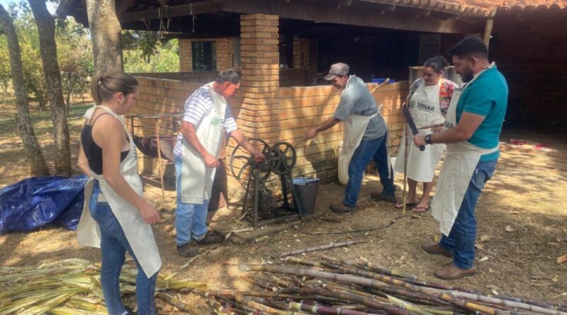 Alunos participam de aula prática no curso de produção artesanal de cachaça do Senar, aprendendo desde o corte da cana até a destilação. (Foto: Baltazar Brandão)