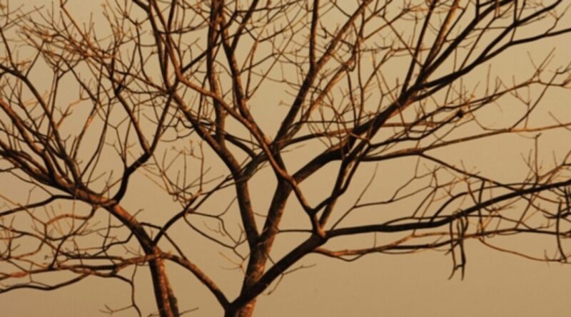 Estiagem já dura até 95 dias em algumas regiões de Goiás e a umidade relativa do ar pode cair para menos de 20% (Foto: Semad)