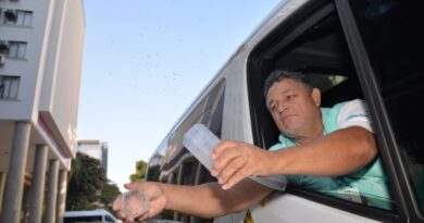 Bactéria Wolbachia, quando presente no Aedes aegypti, impede a transmissão dos vírus da dengue, zika e chikungunya