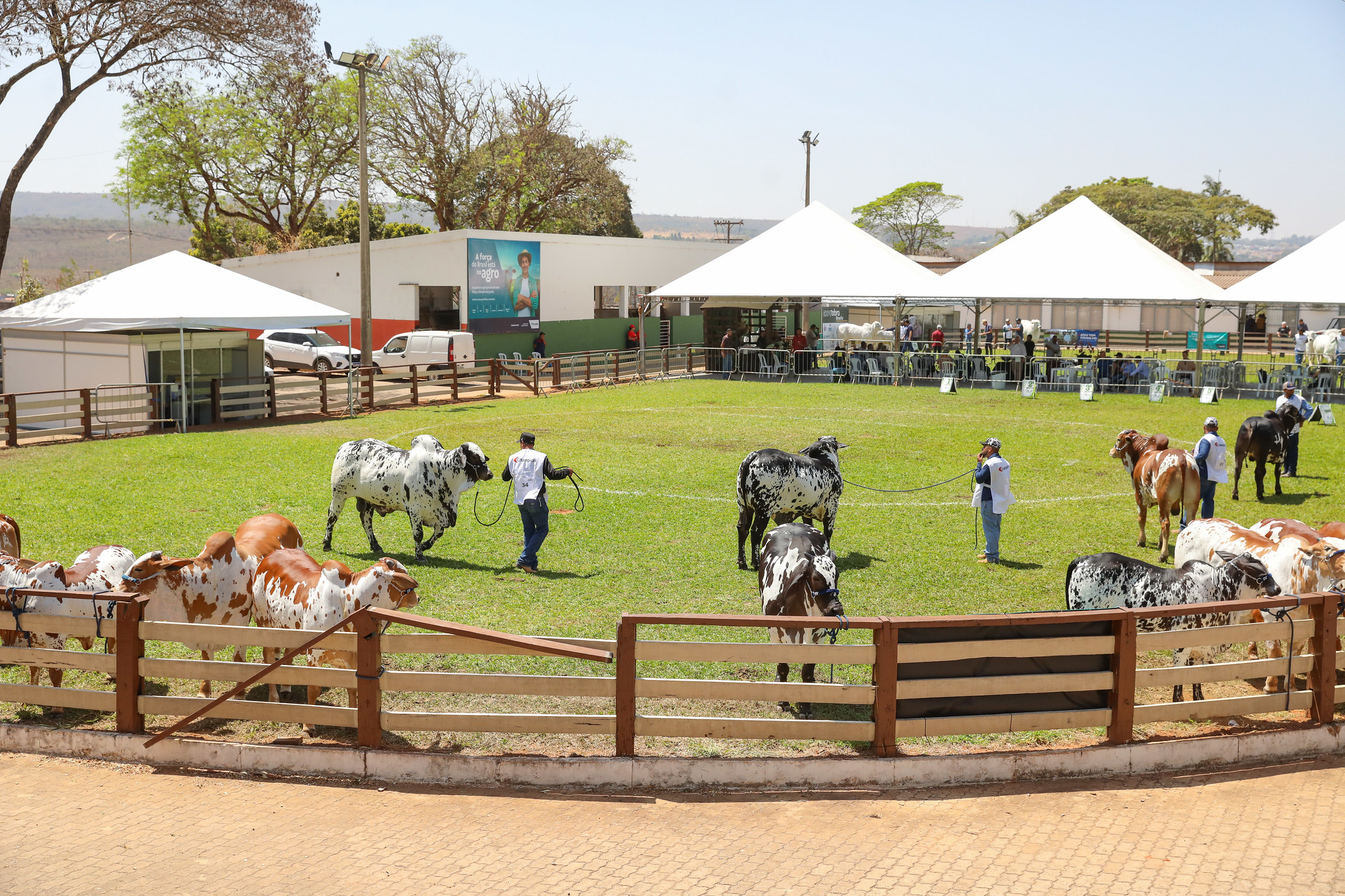A 33ª edição da Expoabra promete reunir mais de 100 mil pessoas no Parque de Exposições da Granja do Torto (PGT) | Foto: Paulo H. Carvalho/Agência Brasília