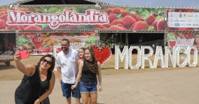 29ª Festa do Morango de Brasília