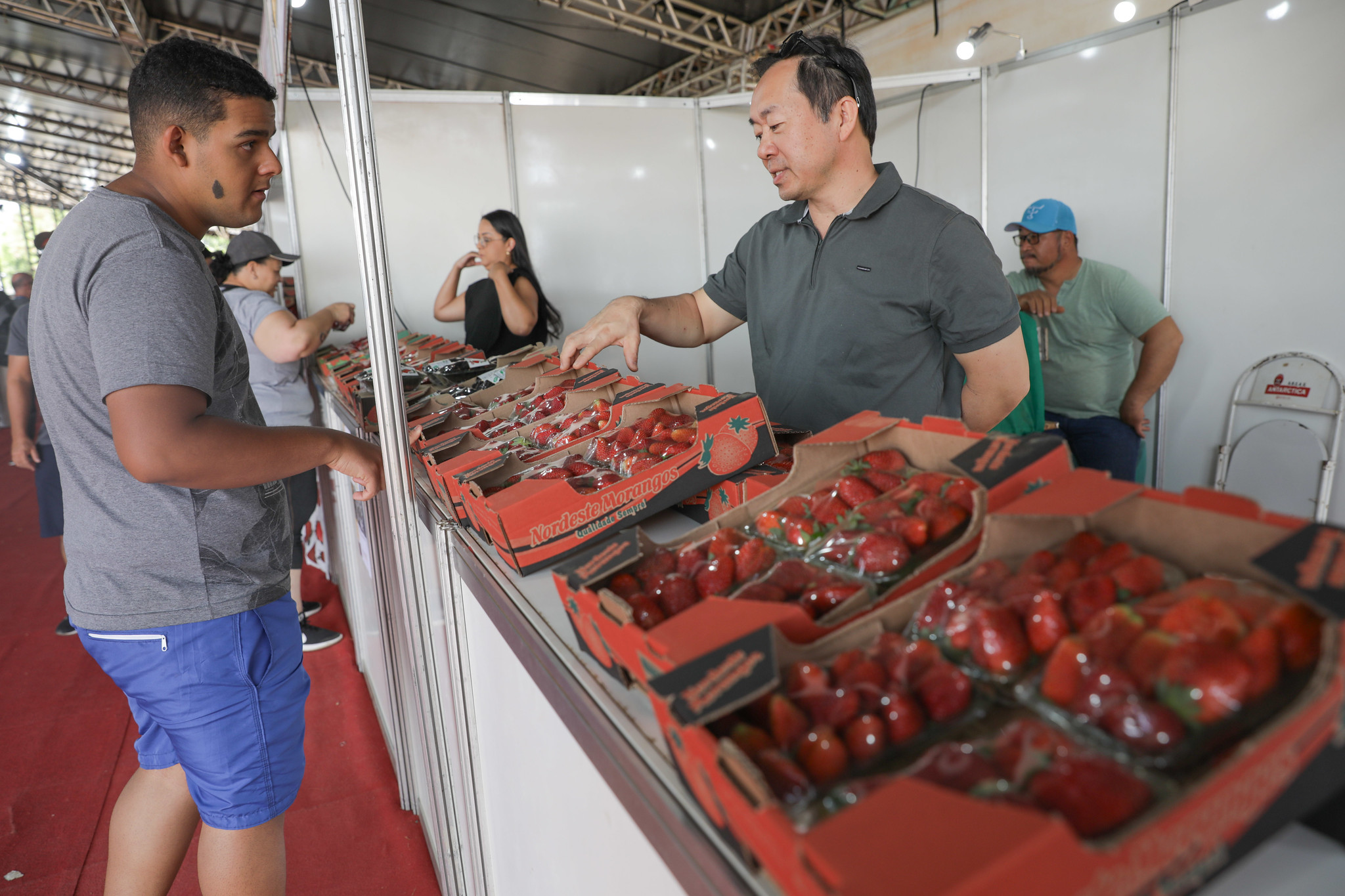 A 29ª edição da Festa do Morango contará com mais de 40 expositores e atrações musicais | Foto: Geovana Albuquerque/Agência Brasília