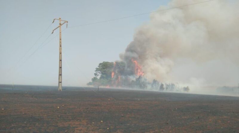 A combinação de clima seco, altas temperaturas e a baixa umidade do ar aumentam significativamente o risco de incêndios florestais e urbanos próximos da rede elétrica