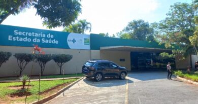 Riscos foram debatidos durante 7ª Reunião da CIB, realizada remotamente pela SES-GO e Cosems-GO, na última quinta-feira (18/09) (Foto: SES-GO)