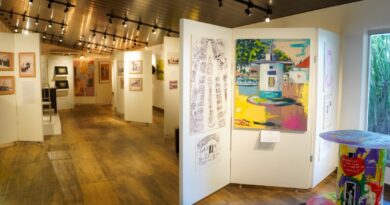 Exposição do Espaço de Memórias HDS Colônia Santa Marta estará na Assembleia Legislativa de Goiás, desta terça-feira (16/09) até 1º de outubro, com visitação gratuita (Foto: Naiclea Luzia/SES-GO)